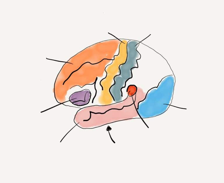 Les maladies neurodégénératives